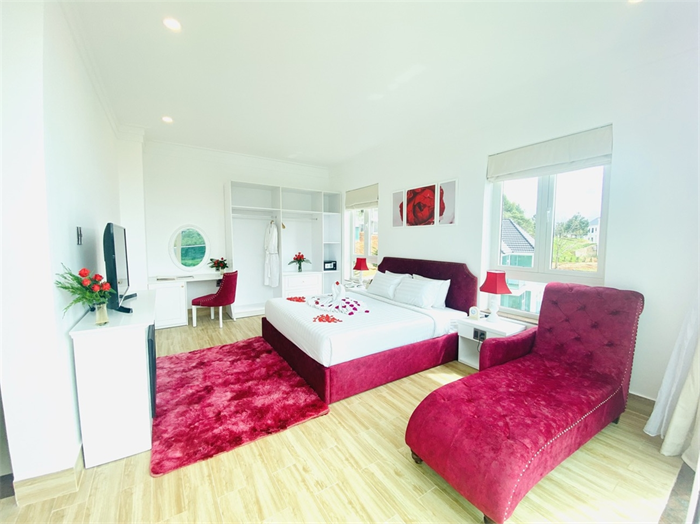 Suite Room